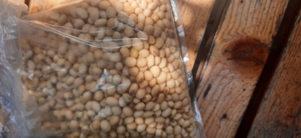 Ethiopian Sesame Seed Exporter