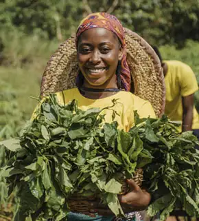 Ethiopian Sesame Seed Exporter