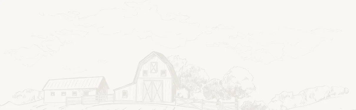 Ethiopian Sesame Seed Exporter