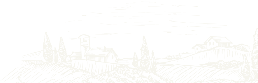 Ethiopian Sesame Seed Exporter