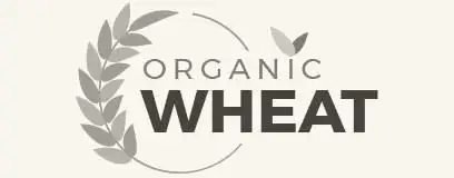 Ethiopian Sesame Seed Exporter