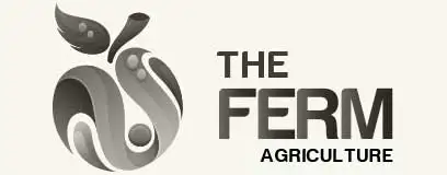 Ethiopian Sesame Seed Exporter