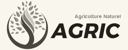 Ethiopian Sesame Seed Exporter