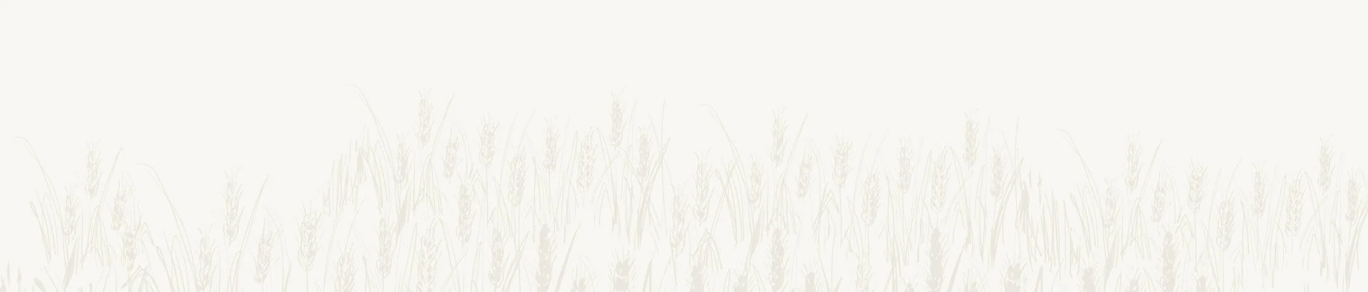 Ethiopian Sesame Seed Exporter