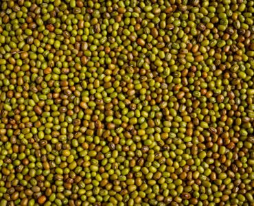 Ethiopian Sesame Seed Exporter
