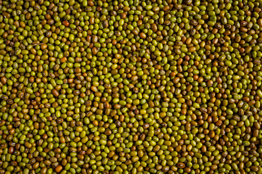 Ethiopian Sesame Seed Exporter