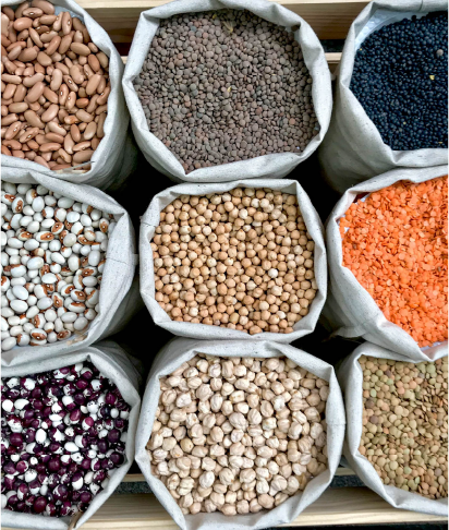Ethiopian Sesame Seed Exporter