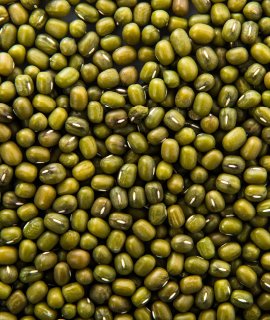 Ethiopian Sesame Seed Exporter