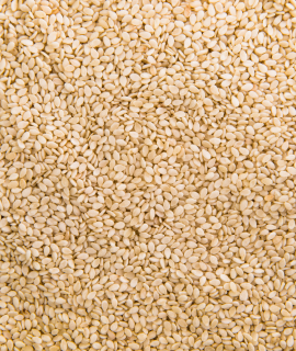 Ethiopian Sesame Seed Exporter