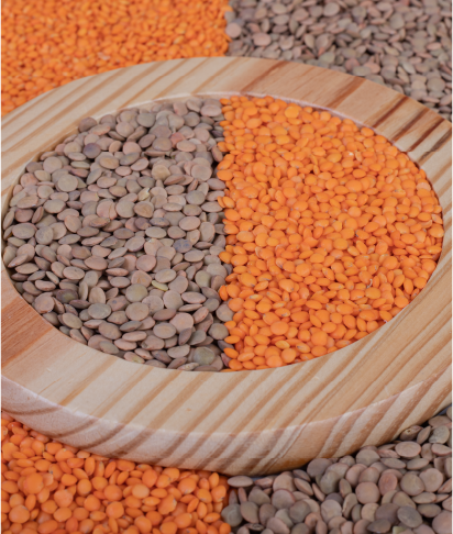Ethiopian Sesame Seed Exporter